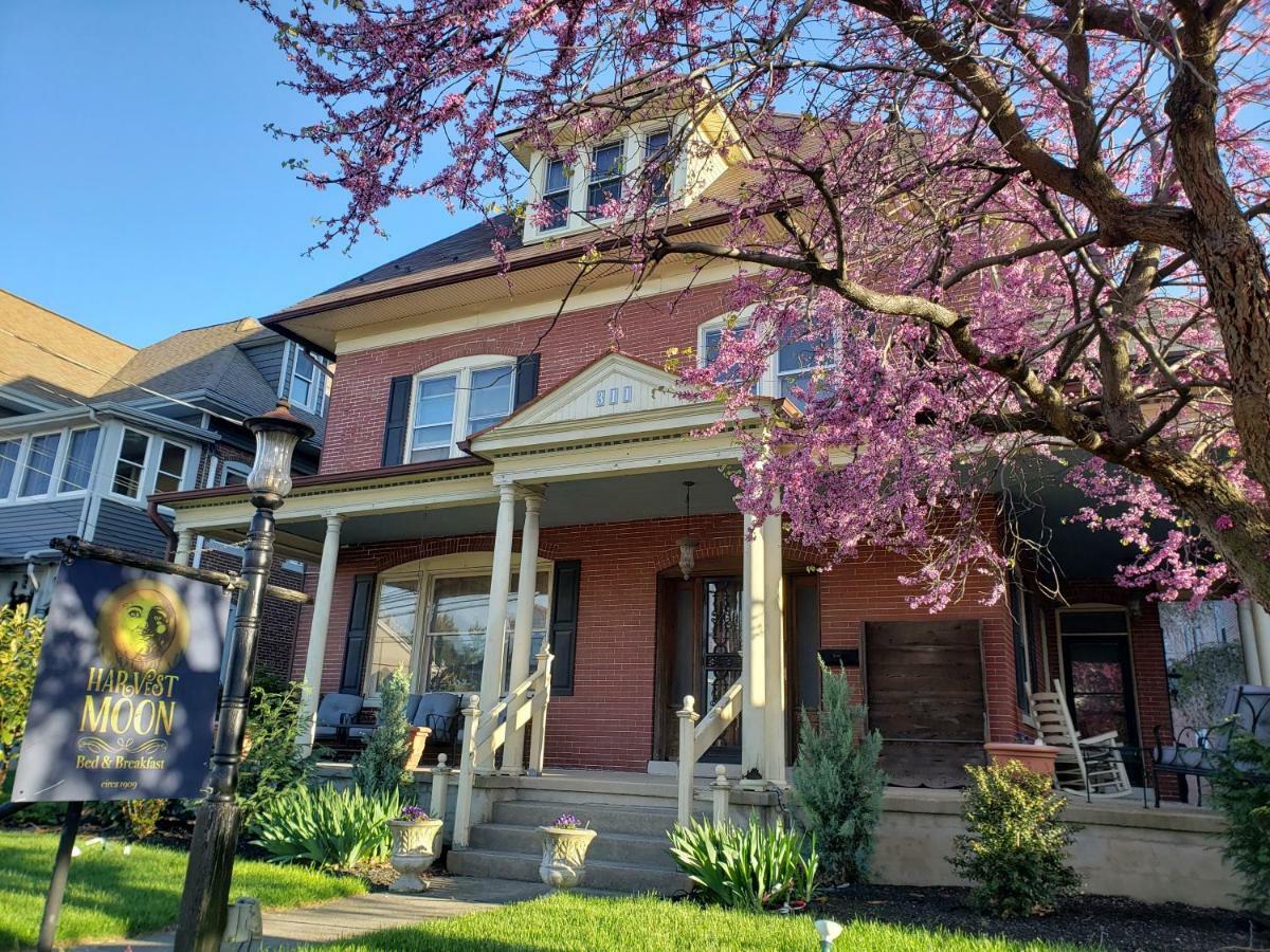 Harvest Moon Bed & Breakfast 뉴홀란드 외부 사진